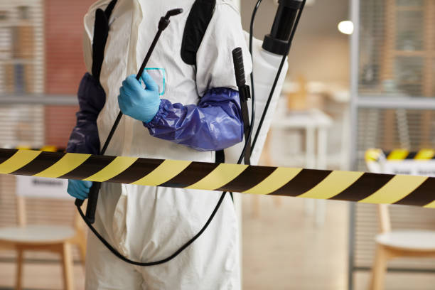 Professional Sewage Cleanup technician working in Maryland Heights, MO